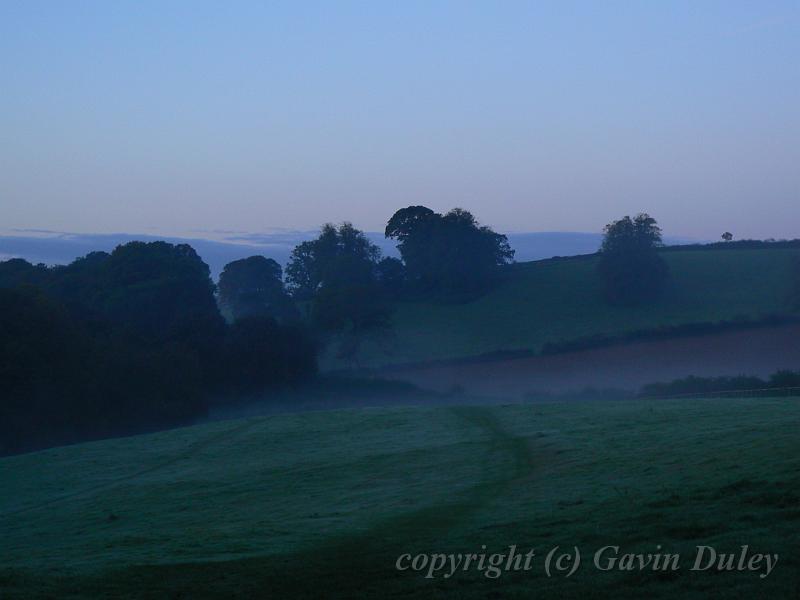 Early morning, near Beaminster P1150527.JPG